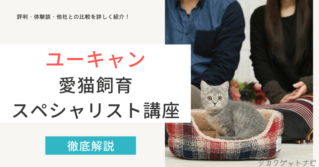愛猫飼育スペシャリストの口コミはホント？最新の評判・仕事・難易度を徹底解説【ユーキャン】