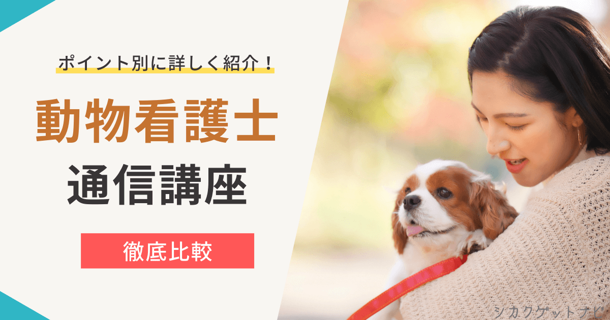 動物看護士資格のおすすめ5選は?独学では目指せないペット資格を3つのポイントで徹底比較【2022年版】