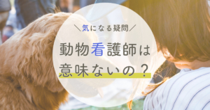 解決 動物看護師資格の通信講座は意味ない 3つのコツと国家