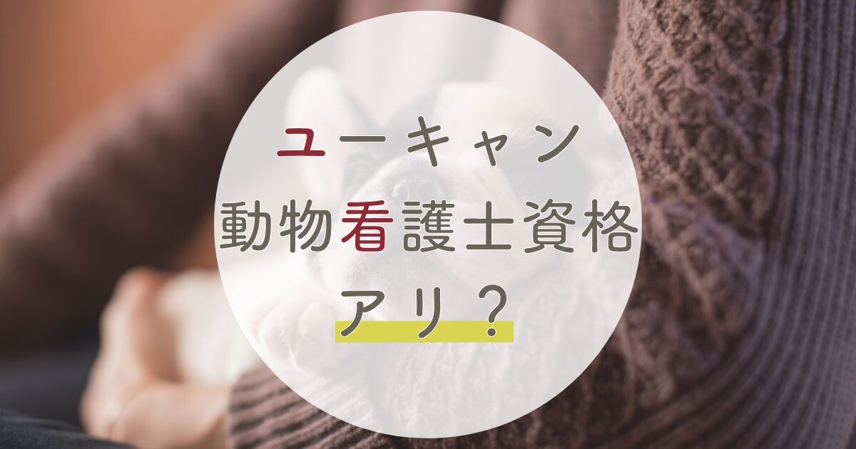 ユーキャンで動物看護師資格はアリ 2つの動物資格と動物看護師の比較 21年