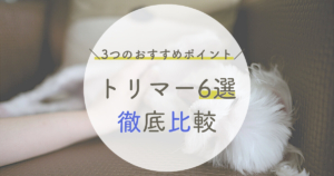 キャリカレトリマー ペットスタイリスト講座の口コミ 評判は 独学と通信の比較