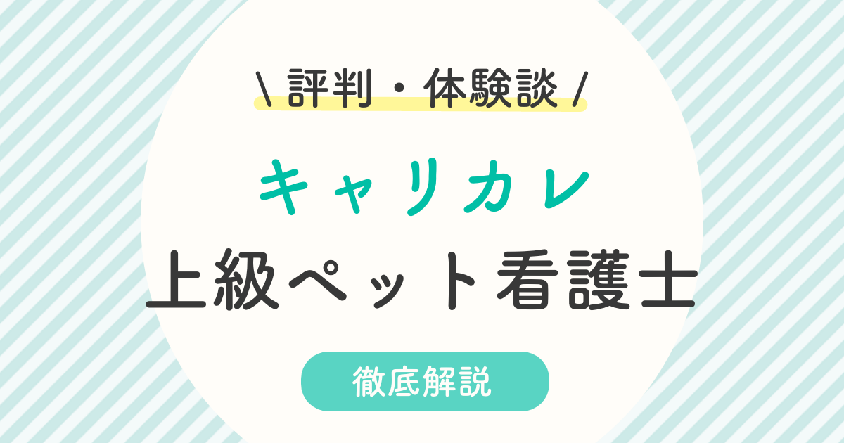 上級ペット看護師講座の悪い口コミはホント 評判 独学との比較まで
