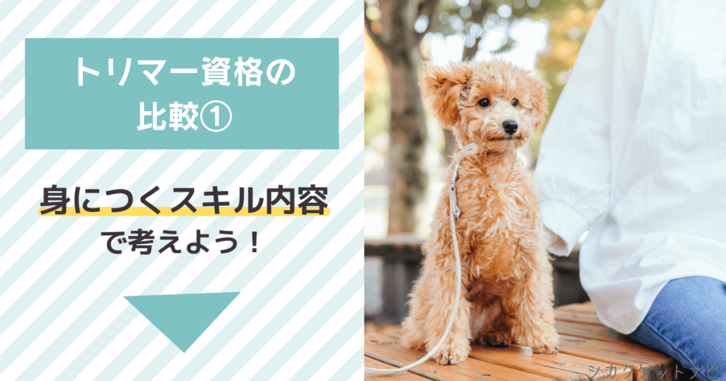 トリマー資格でどれがいいか迷ったら①:通信講座で身につくトリマースキルで比較しよう