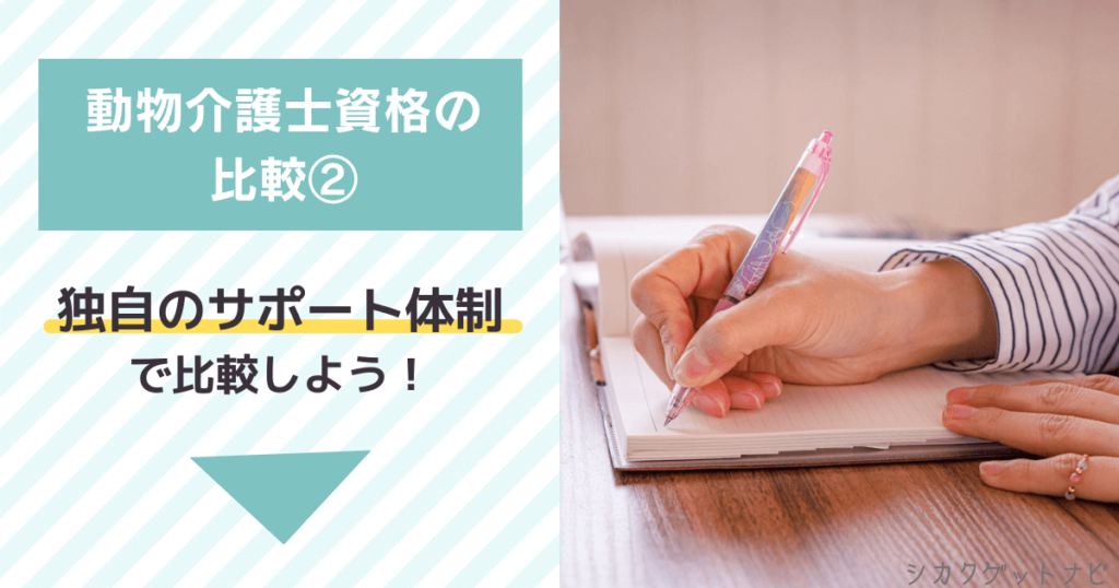 動物介護士選びでどれがいいか迷ったら②:通信講座のサポート体制で比較しよう